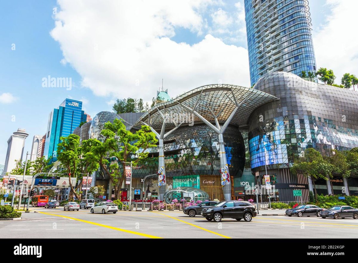 Ion Orchard - Gallery Photo 1