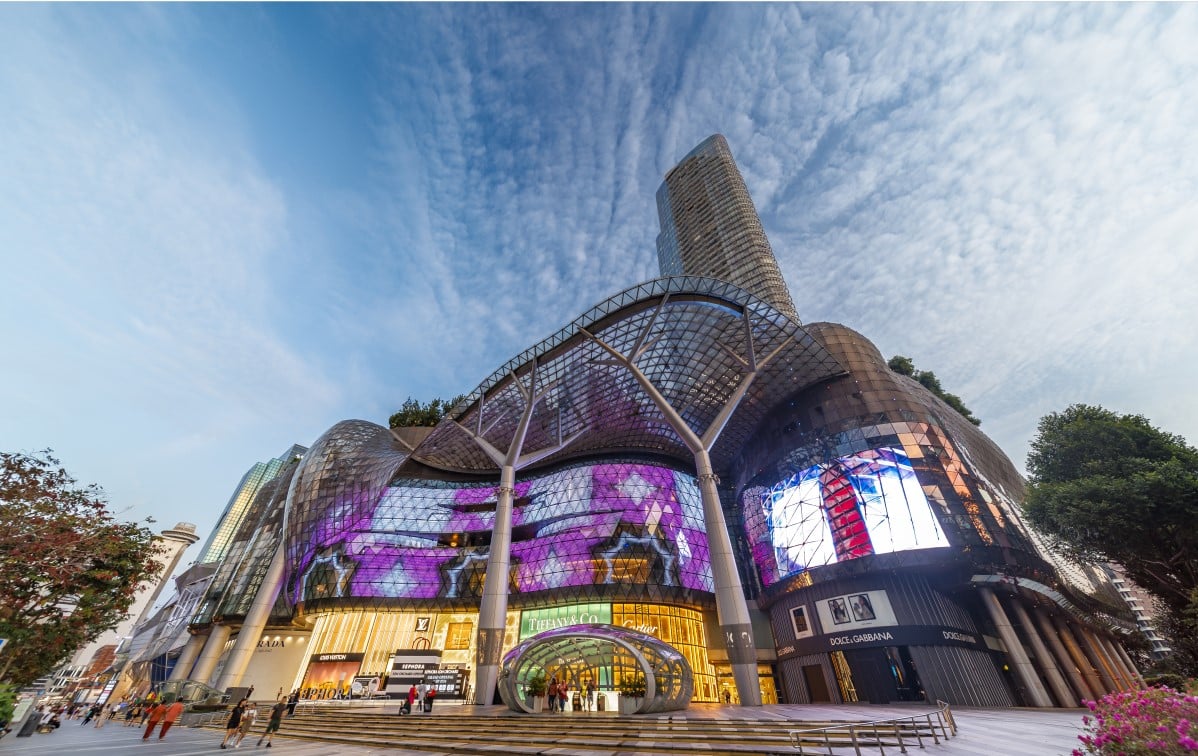 Ion Orchard - Gallery Photo 5