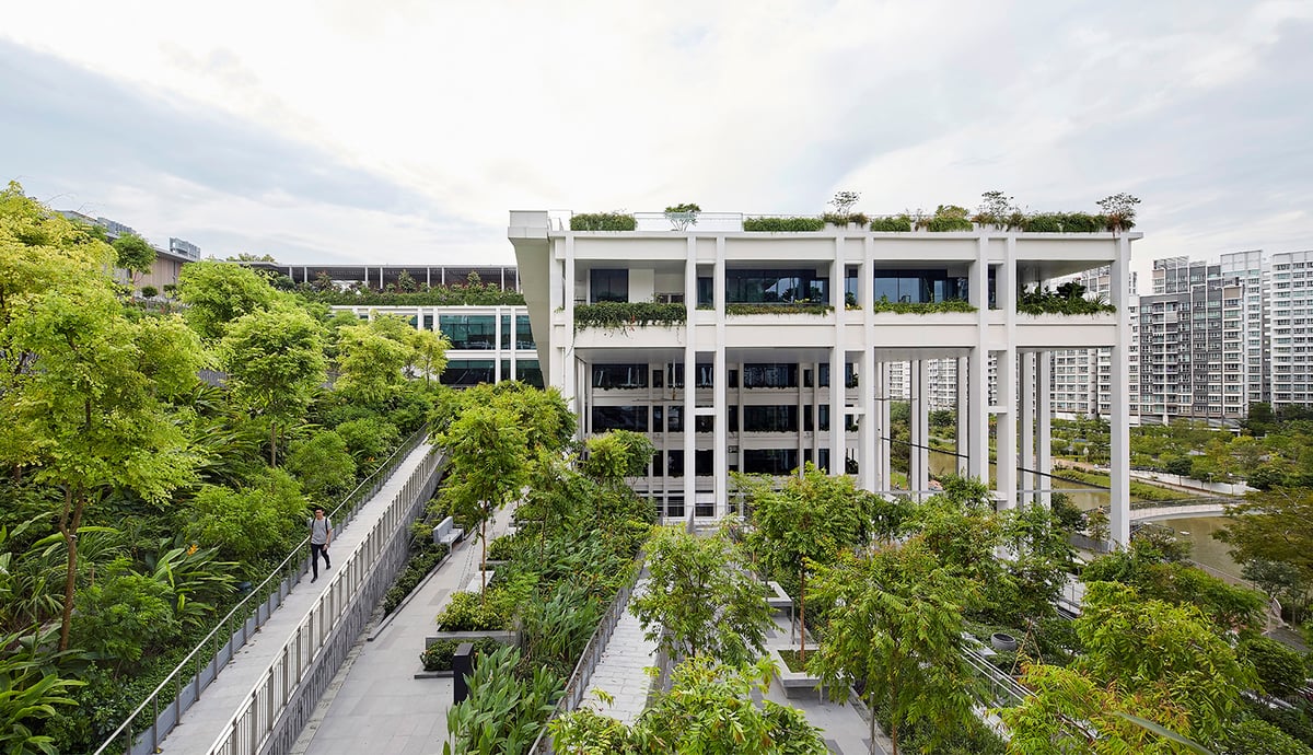 Oasis Terraces - Gallery Photo 1