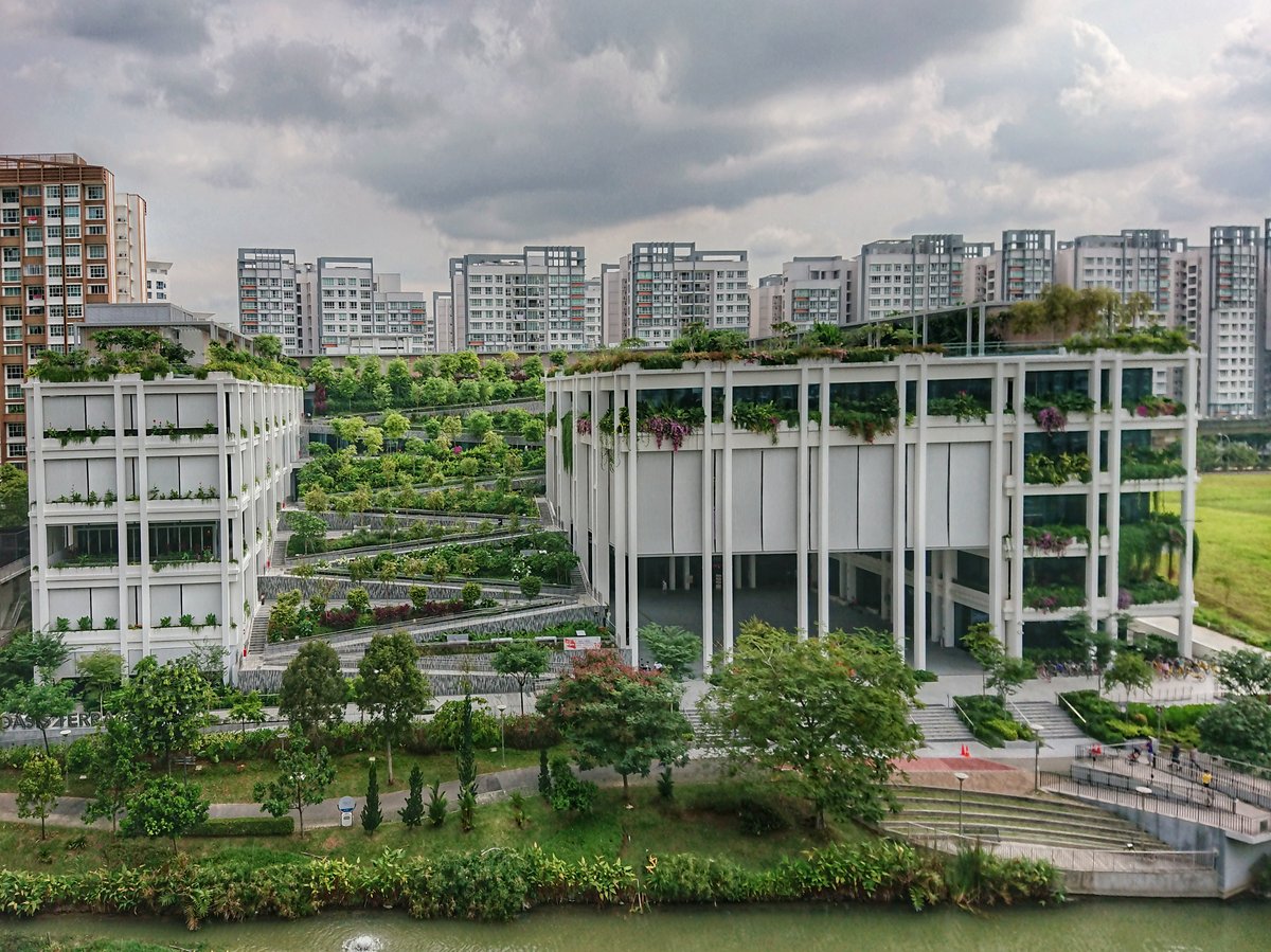 Oasis Terraces - Gallery Photo 3