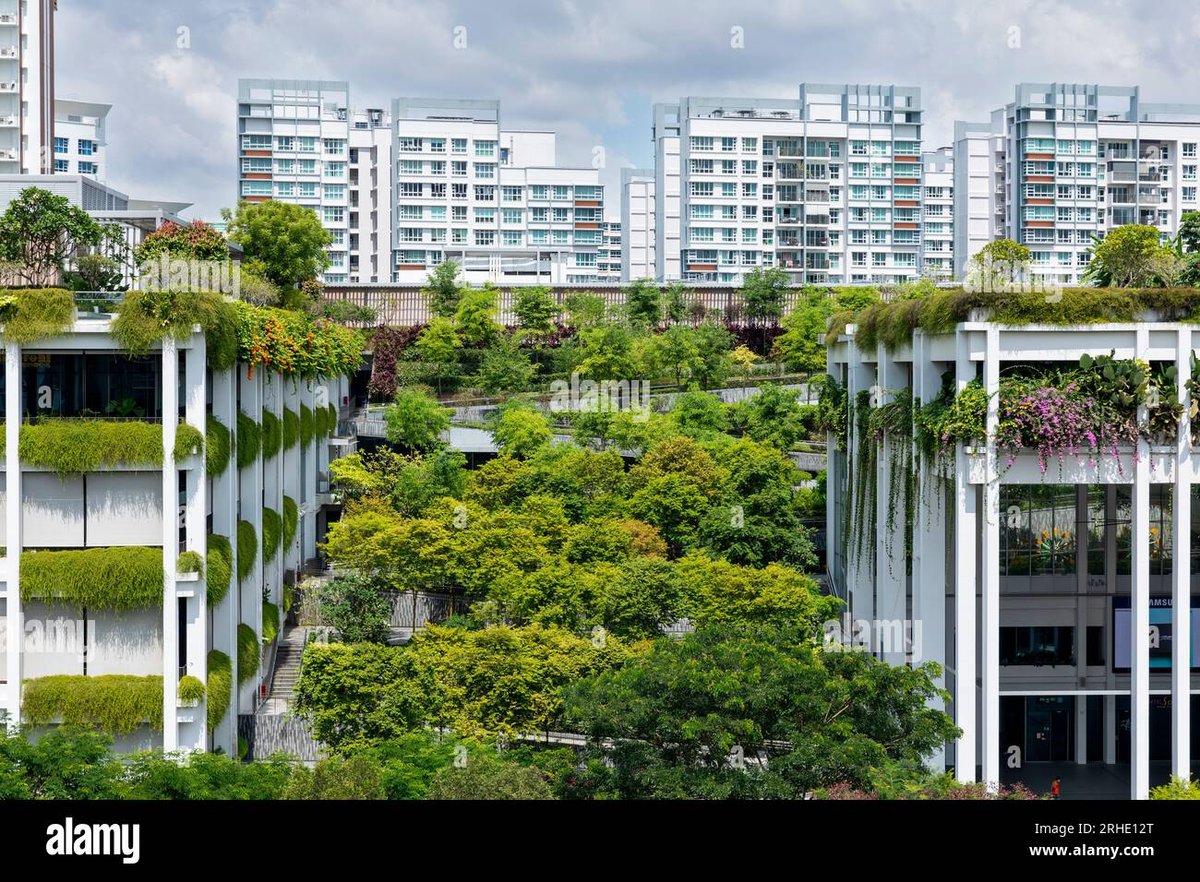 Oasis Terraces - Gallery Photo 5