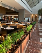 Shopping Eldorado - Thumbnail 6