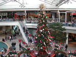 Shopping 2001 - Thumbnail 5
