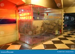 Cilandak Town Square - Thumbnail 6