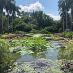 Plaza San Isidro - Thumbnail 4
