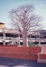 Musgrave Centre - Thumbnail 7 Musgrave Centre - Thumbnail 7