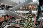 Cavendish Square - Thumbnail 6