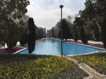 Park Center - Thumbnail 4