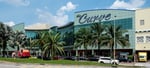 The Curve - Thumbnail 1