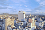 Lee Gardens Plaza - Thumbnail 5
