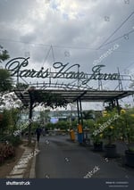 Paris Van Java - Thumbnail 6 Paris Van Java - Thumbnail 6