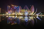 Lotus Center - Thumbnail 5 Lotus Center - Thumbnail 5