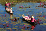 Lotus Center - Thumbnail 10 Lotus Center - Thumbnail 10
