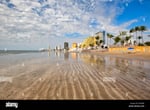 Plaza Dorada - Thumbnail 10 Plaza Dorada - Thumbnail 10
