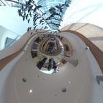 The Starling - Thumbnail 5