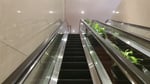 Pecenongan Mall - Thumbnail 2