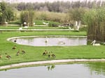 Al Sharjah Material Park - Thumbnail 6