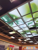 Living Plaza Kota Harapan Indah - Thumbnail 4 Living Plaza Kota Harapan Indah - Thumbnail 4