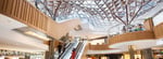 K11 Shanghai - Thumbnail 6