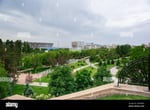 Green Ring - Thumbnail 2