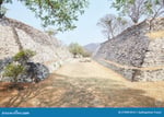 Plaza Morelos - Thumbnail 6