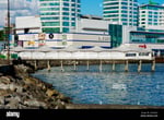 Mall Paseo Costanera - Thumbnail 7