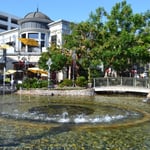 The Grove Mall - Thumbnail 11