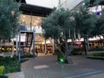 The Grove Mall - Thumbnail 12