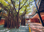 The Linc Kl - Thumbnail 2