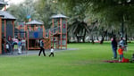 Qurum Gardens - Thumbnail 5