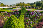 Qurum Gardens - Thumbnail 7