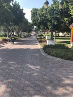 Qurum Gardens - Thumbnail 8