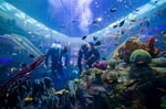 Mega Mall - Thumbnail 3 Mega Mall - Thumbnail 3