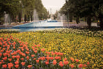 Laleh Park - Thumbnail 4