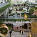 Westville Mall - Thumbnail 5 Westville Mall - Thumbnail 5
