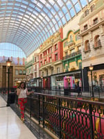 West Edmonton Mall - Thumbnail 16