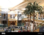 International Plaza And Bay Street - Thumbnail 5 International Plaza And Bay Street - Thumbnail 5