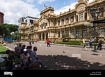 Plaza Los Pinos - Thumbnail 4