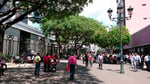 Paseo De Las Flores - Thumbnail 8