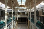Exton Square Mall - Thumbnail 3 Exton Square Mall - Thumbnail 3