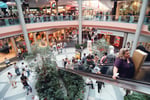 The Avenues - Thumbnail 2