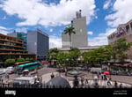 Plaza Hatillo - Thumbnail 12 Plaza Hatillo - Thumbnail 12