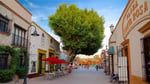 Plaza Del Parque - Thumbnail 6