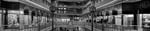 Terra 1900 - Thumbnail 2 Terra 1900 - Thumbnail 2