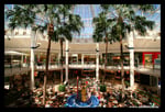 Highpoint Shopping Centre - Thumbnail 9