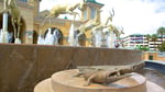 Gold Reef City - Thumbnail 12 Gold Reef City - Thumbnail 12