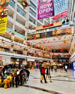 Ambience Mall Gurgaon - Thumbnail 7 Ambience Mall Gurgaon - Thumbnail 7