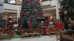 Mall Portal Temuco - Thumbnail 1 Mall Portal Temuco - Thumbnail 1