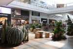 Centro Comercial El Tesoro - Thumbnail 13