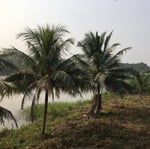 Tinapa Lakeside Mall - Thumbnail 20